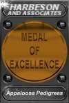 Harbeson and Associates Bronze Medal of Excellence