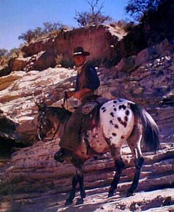 Appaloosa photo