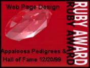 Web Page Design Ruby Award