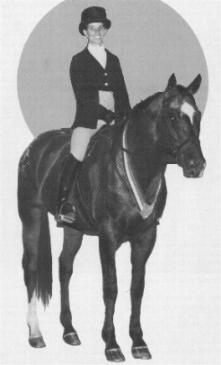 RH Macho - Appaloosa stallion